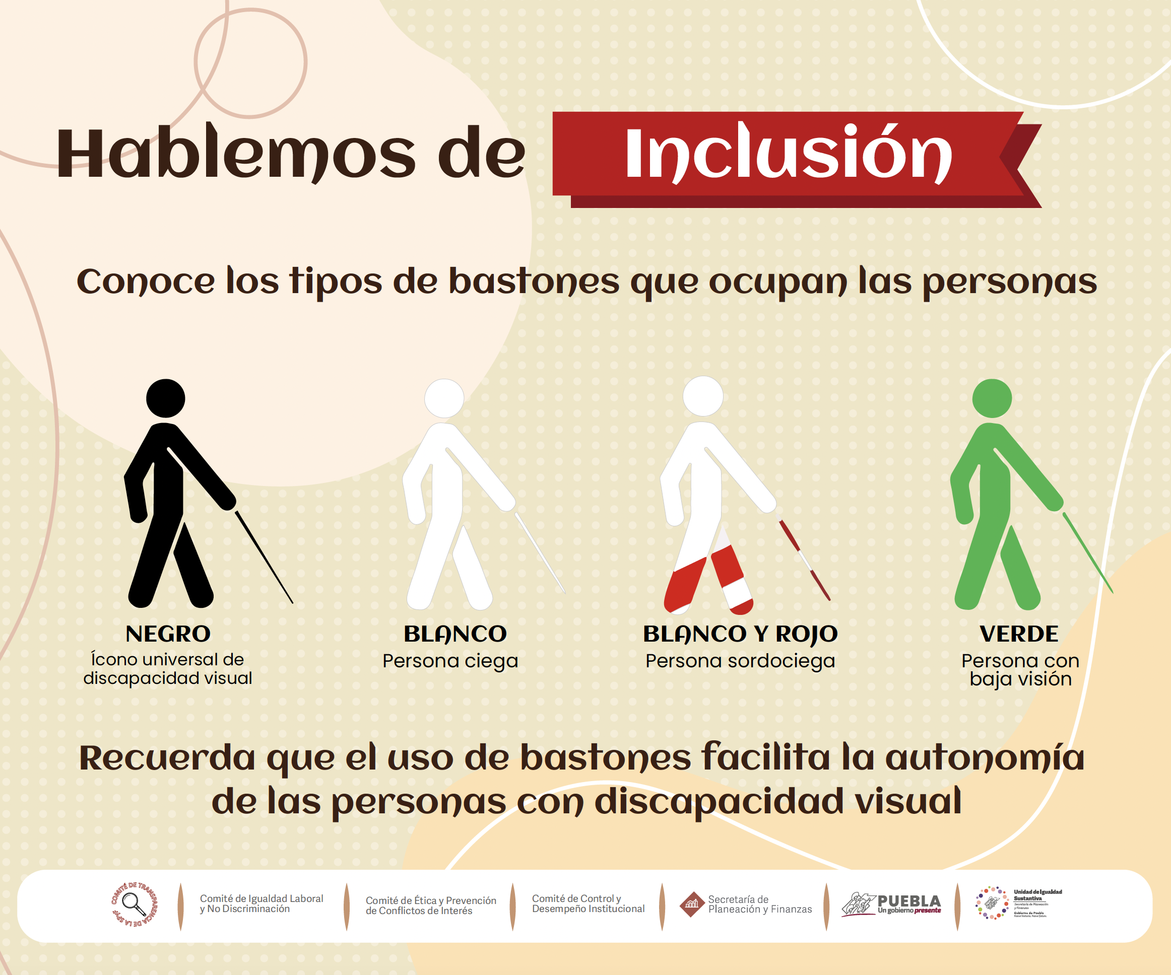 Hablemos de Inclusión. Tipos de Bastones